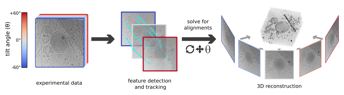 ts-to-tomogram